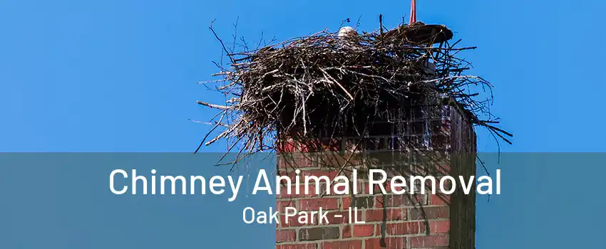 Chimney Animal Removal Oak Park - IL