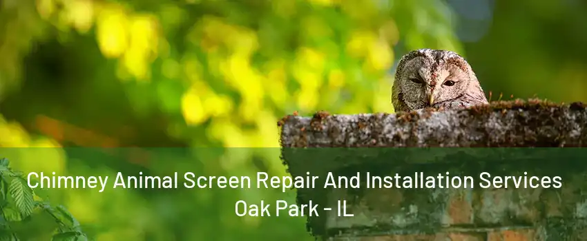 Chimney Animal Screen Repair And Installation Services Oak Park - IL