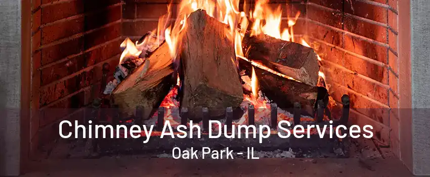 Chimney Ash Dump Services Oak Park - IL