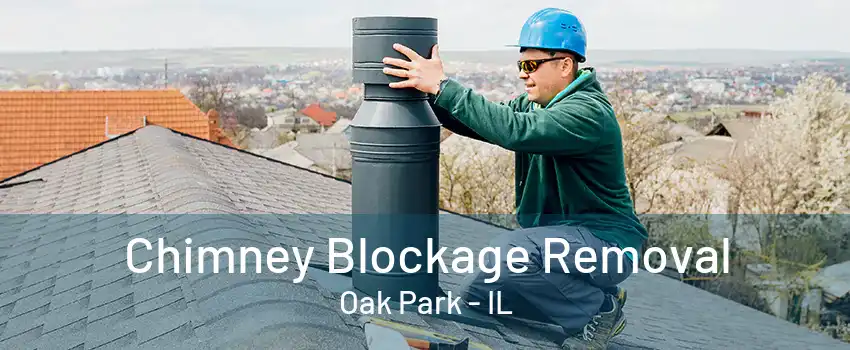 Chimney Blockage Removal Oak Park - IL