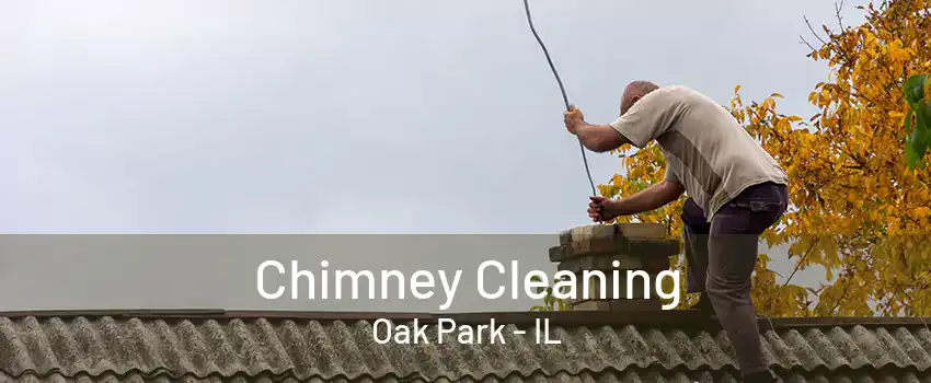 Chimney Cleaning Oak Park - IL