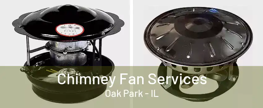 Chimney Fan Services Oak Park - IL