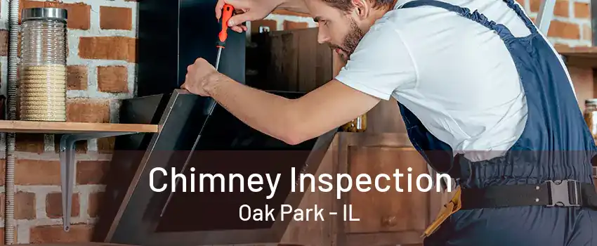 Chimney Inspection Oak Park - IL