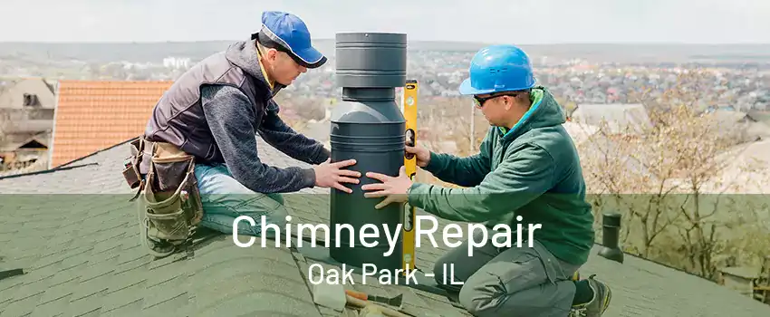 Chimney Repair Oak Park - IL