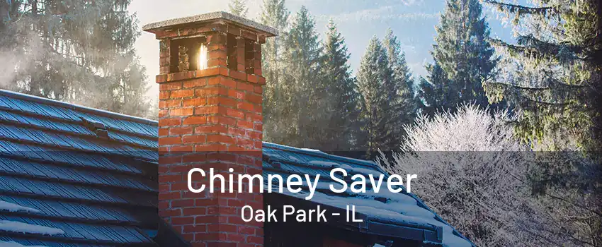 Chimney Saver Oak Park - IL