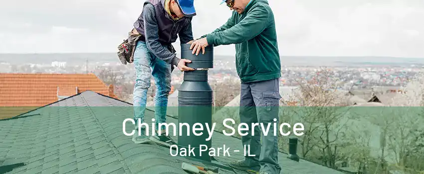 Chimney Service Oak Park - IL