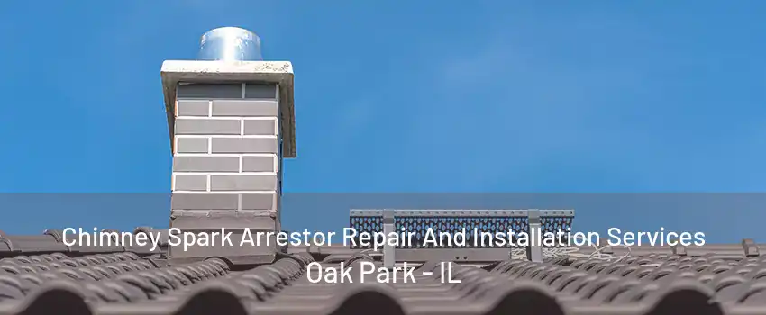 Chimney Spark Arrestor Repair And Installation Services Oak Park - IL