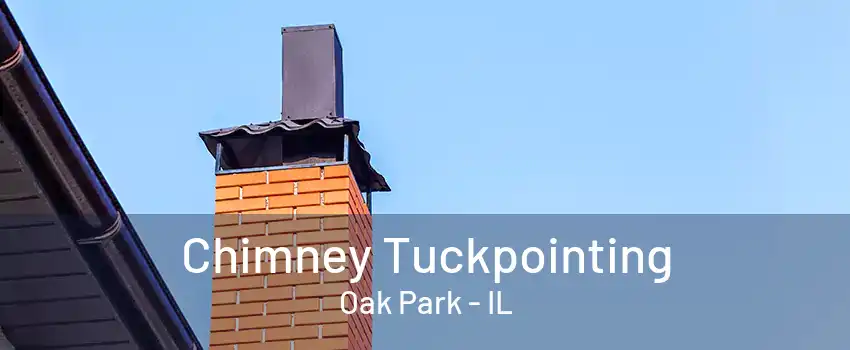 Chimney Tuckpointing Oak Park - IL