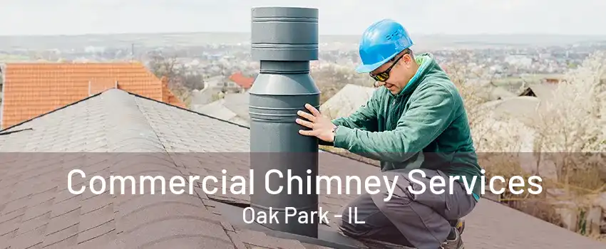 Commercial Chimney Services Oak Park - IL