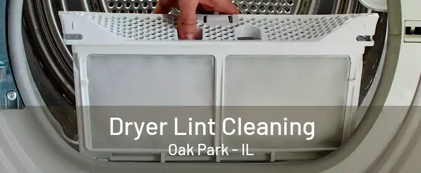 Dryer Lint Cleaning Oak Park - IL