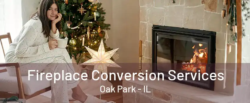 Fireplace Conversion Services Oak Park - IL