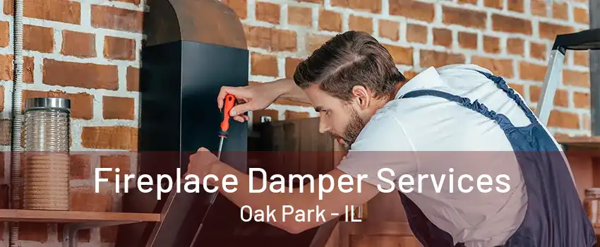 Fireplace Damper Services Oak Park - IL