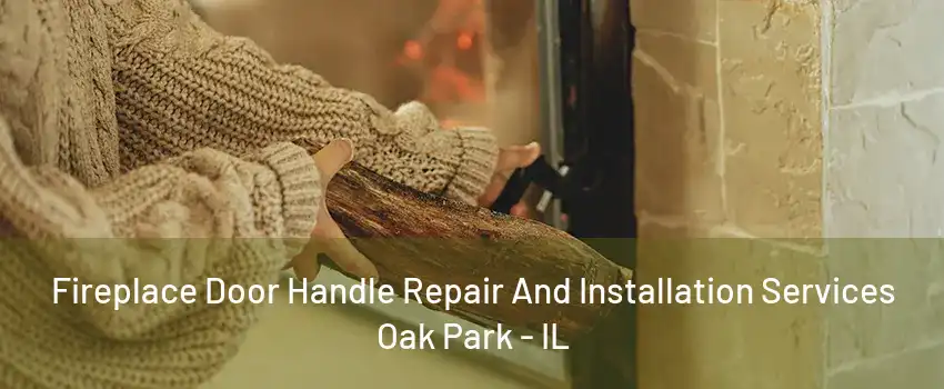 Fireplace Door Handle Repair And Installation Services Oak Park - IL