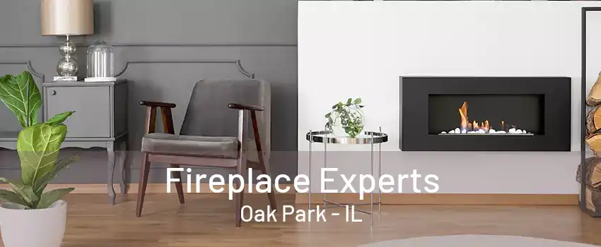 Fireplace Experts Oak Park - IL