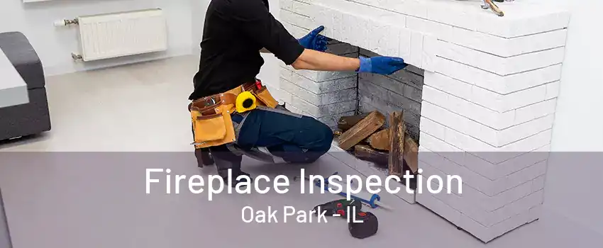 Fireplace Inspection Oak Park - IL