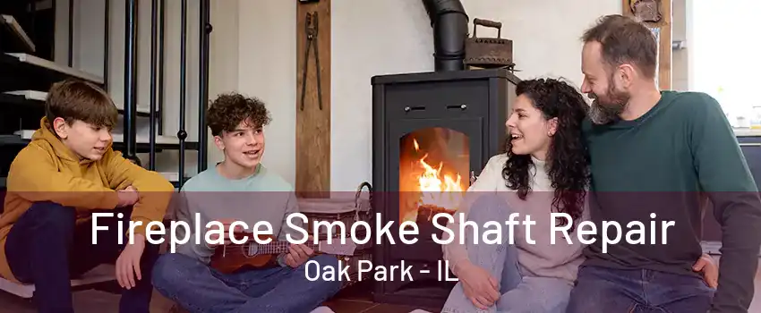 Fireplace Smoke Shaft Repair Oak Park - IL