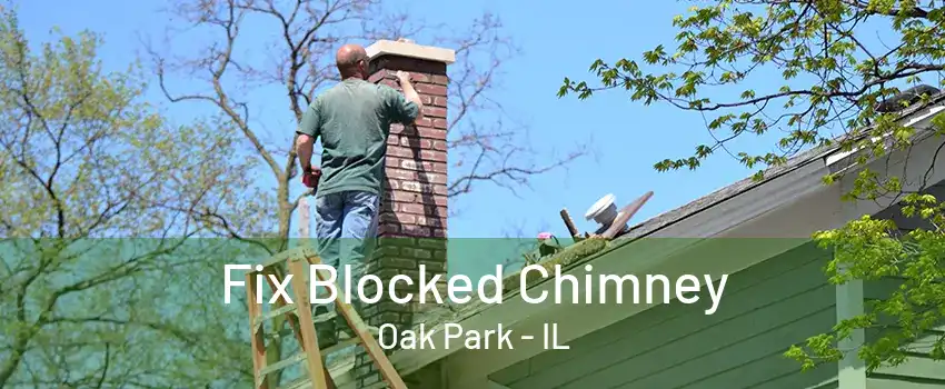 Fix Blocked Chimney Oak Park - IL