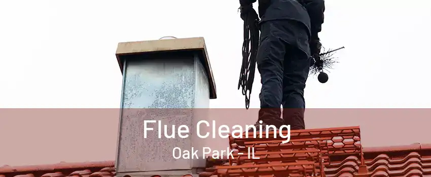 Flue Cleaning Oak Park - IL