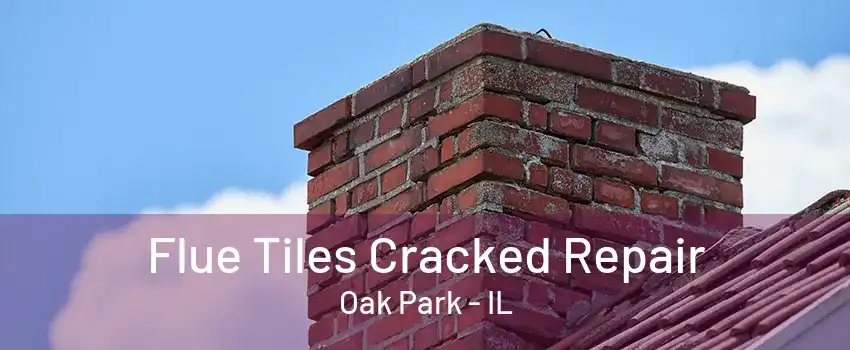 Flue Tiles Cracked Repair Oak Park - IL