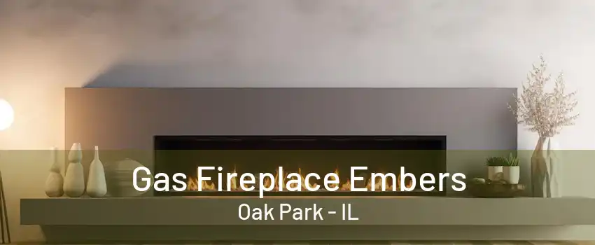 Gas Fireplace Embers Oak Park - IL