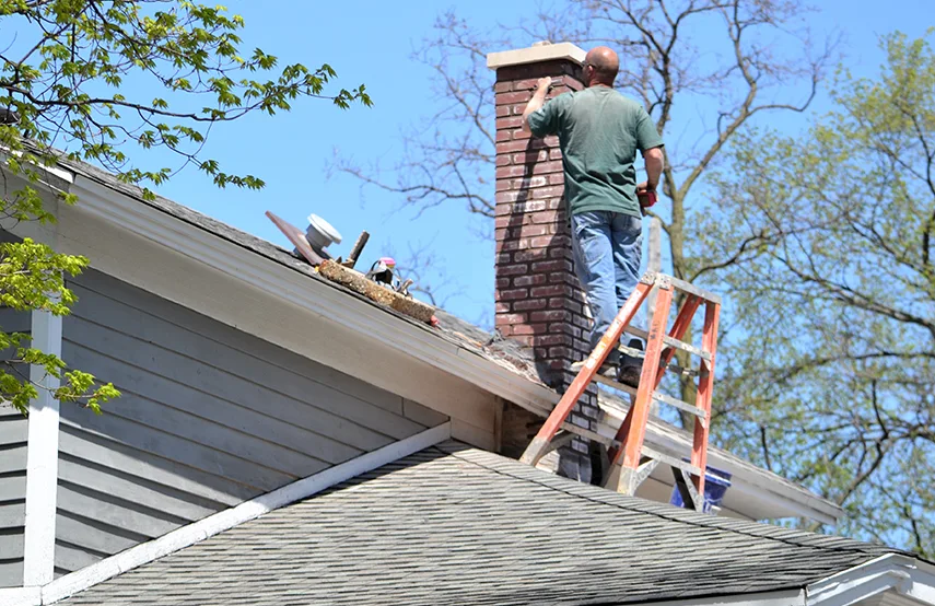 Chimney & Fireplace Inspections Services in Oak Park, IL