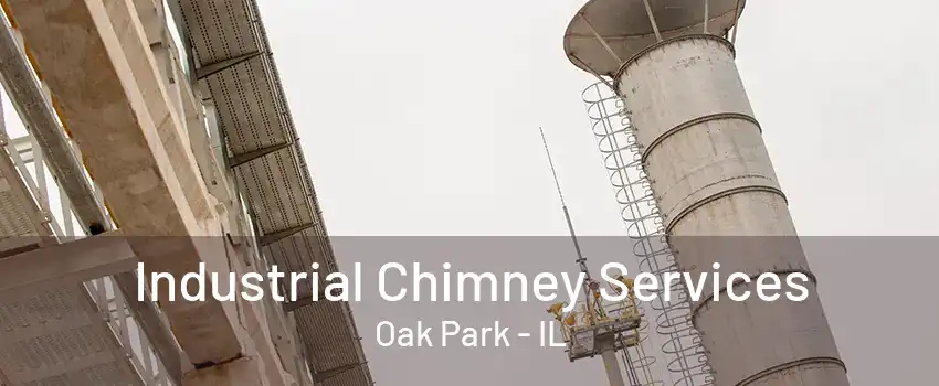 Industrial Chimney Services Oak Park - IL