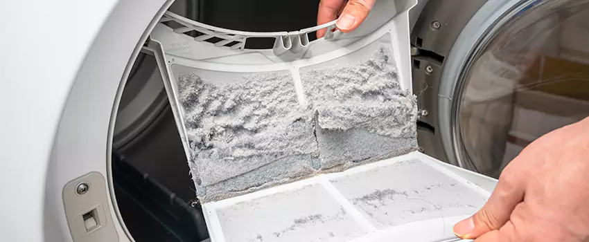 Best Dryer Lint Removal Company in Oak Park, Illinois