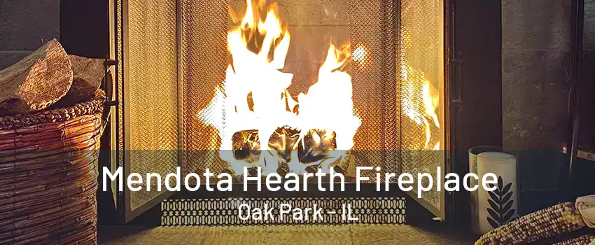 Mendota Hearth Fireplace Oak Park - IL