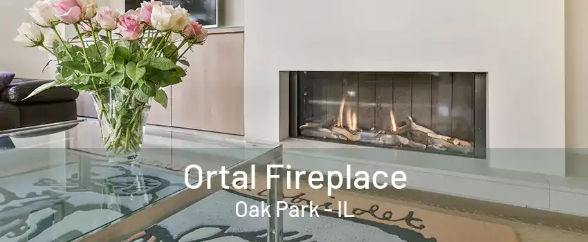 Ortal Fireplace Oak Park - IL